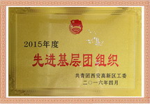 2015年度先进基层团组织