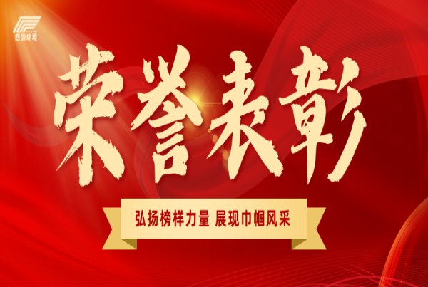 四腾公司张凤丽荣获“西安市雁塔区三八红旗手”荣誉称号