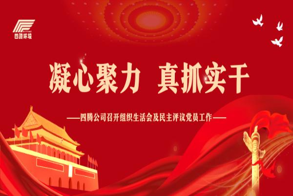 四腾公司各党支部召开组织生活会及民主评议党员工作